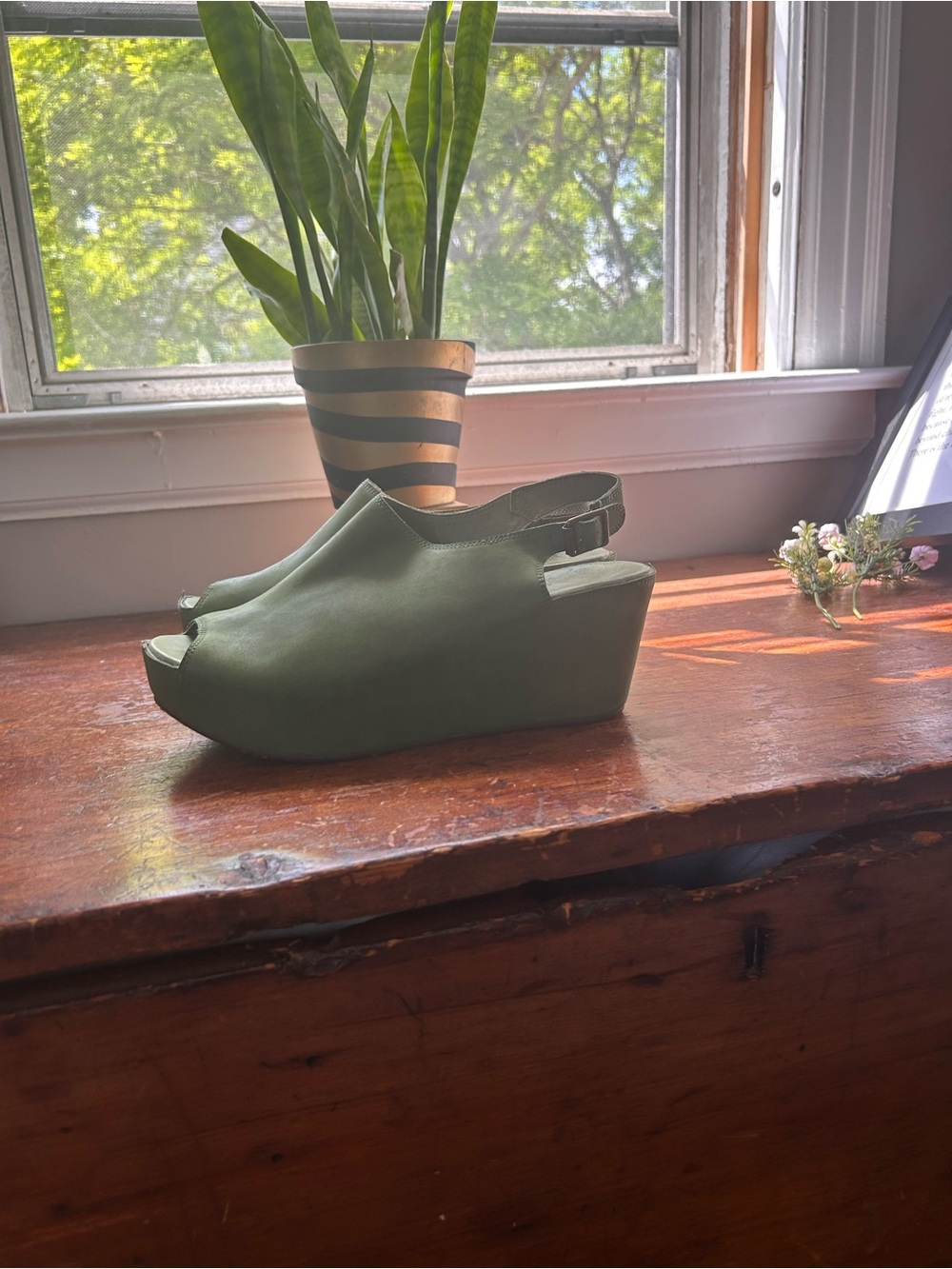 Chocolat Blu wedge willow green